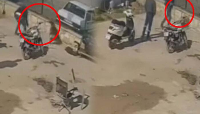 Kedisini öldüren köpeğe pipo ve sandalyeyle saldırdı!  O anlar kameralara yansıdı